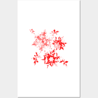 Snowflakes christmas trees and holly red Posters and Art